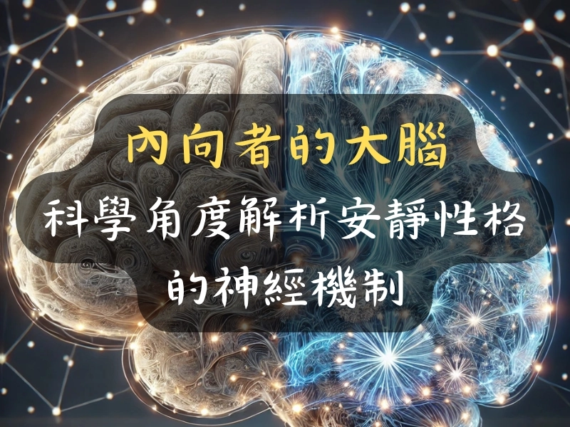 內向者的大腦:科學角度解析安靜性格的神經機制
