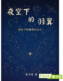 《夜空下的羽翼》