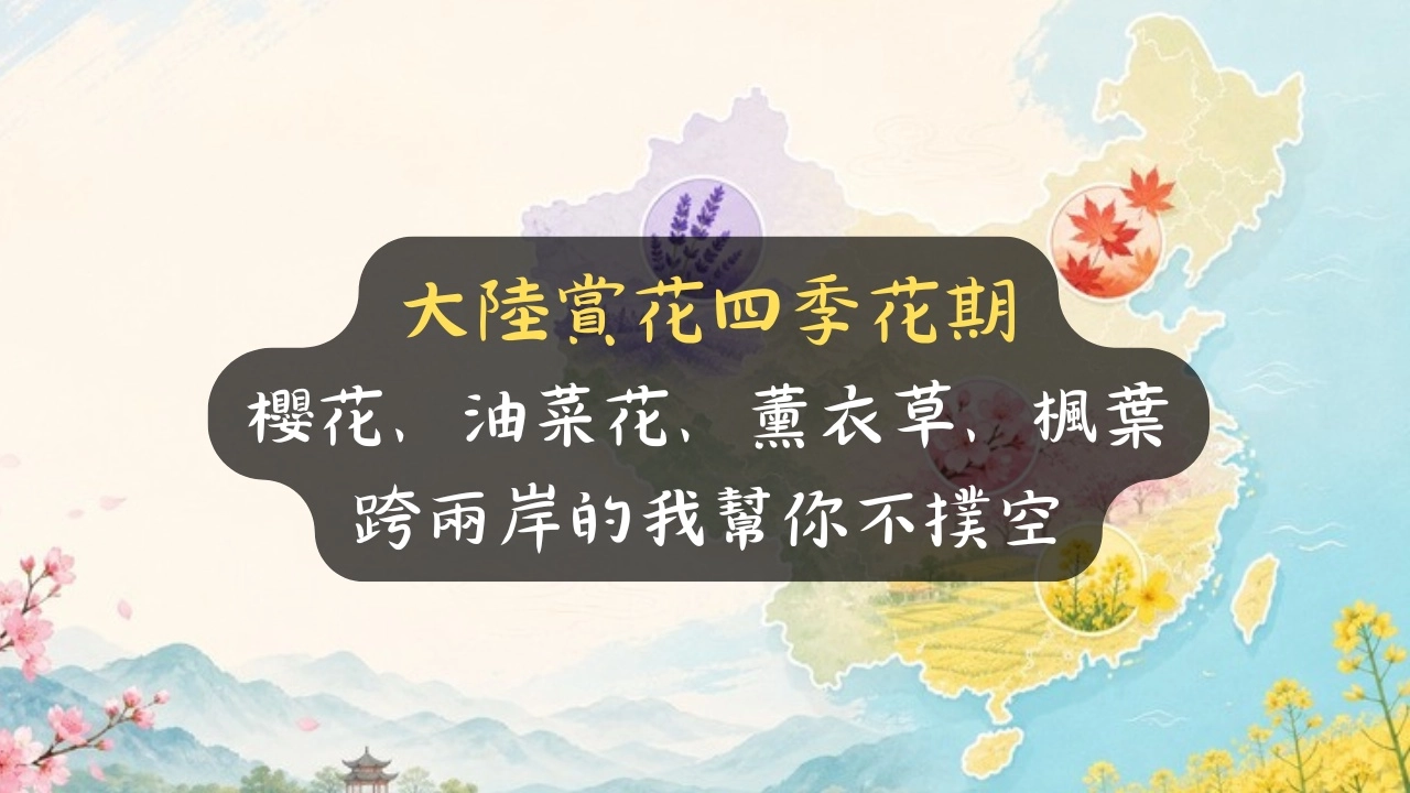 大陸賞花月曆：櫻花、油菜花、薰衣草、楓葉四季花期，跨兩岸的我教你不撲空