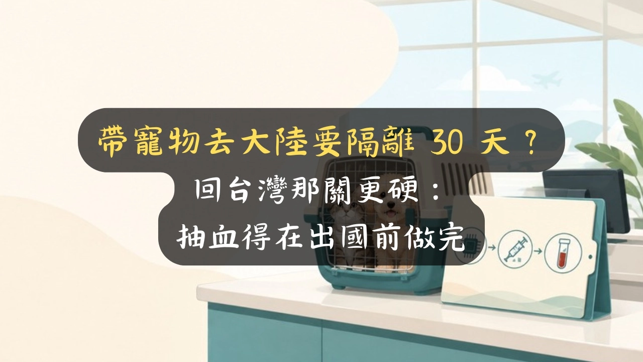 帶寵物去大陸要隔離 30 天？回台灣那關更硬：抽血得在出國前做完