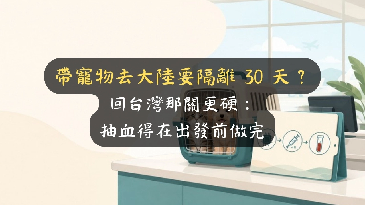 帶寵物去大陸要隔離 30 天？回台灣那關更硬：抽血得在出發前做完